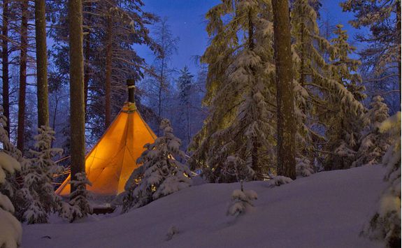 aurora safari camp tent