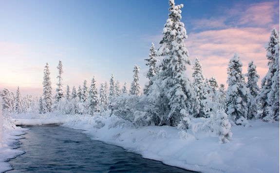 snowy river