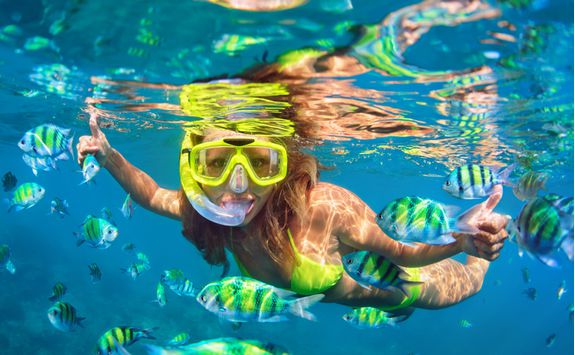 Snorkelling in the Hawaiian Coral Reef