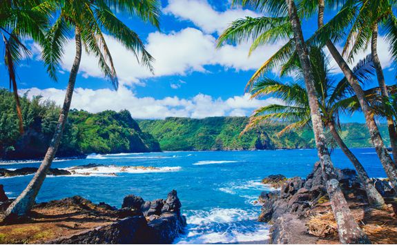 Maui coastline