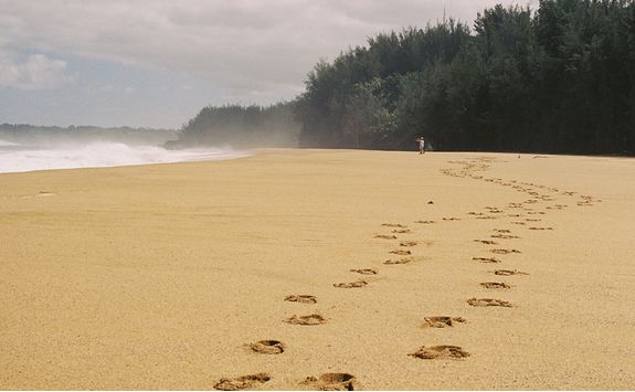 Walk along the beach
