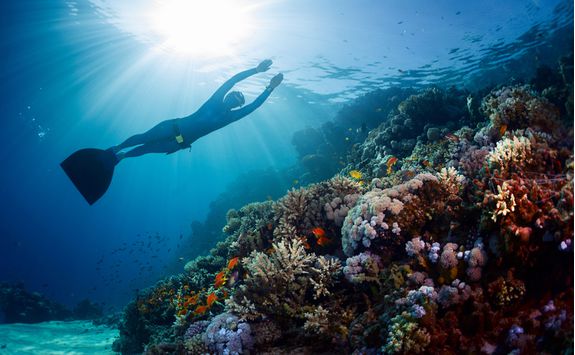 Snorkelling