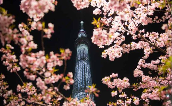 Tokyo Skytree Tower