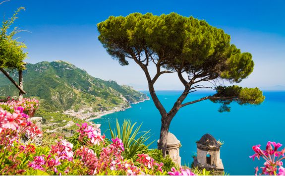 amalfi flowers