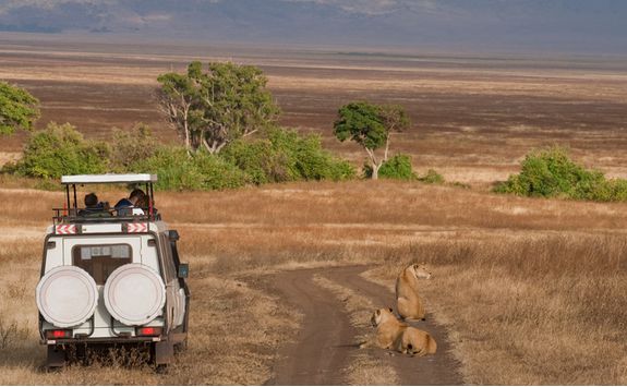 game drive