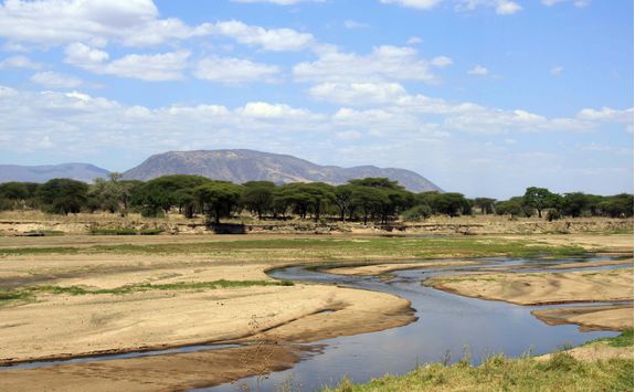 ruaha river