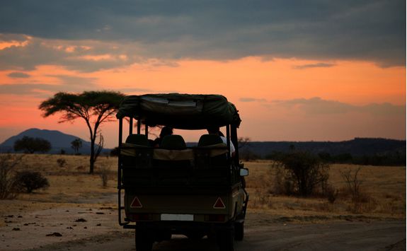 safari jeep