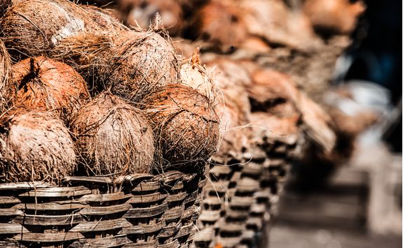 Chennai coconuts