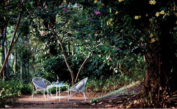Rajakkad chairs