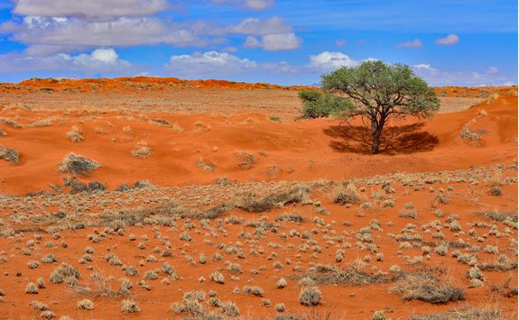 The desert view in Namibrand