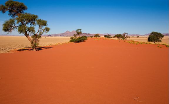 An orange desert road in Namibrand