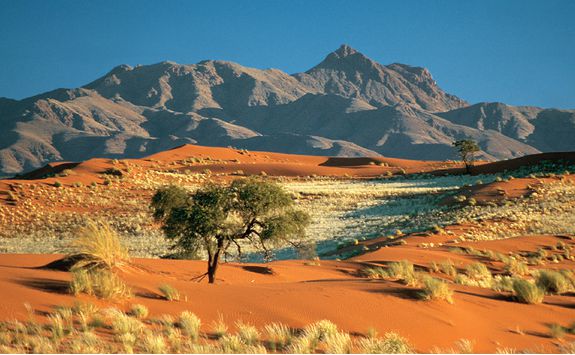 The colourful landscape of Wolwedans