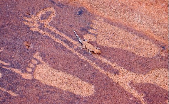 Footprint engravings and a lizard