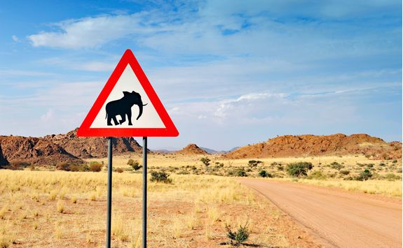 Elephant crossing road sign