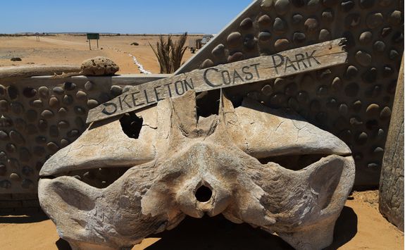 Skeleton Coast Park