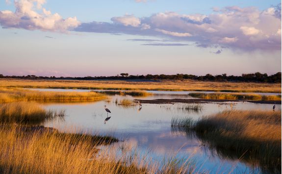 Etosha river