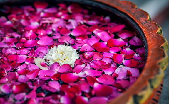 Petals in water