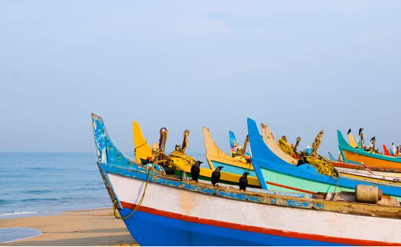 Kerala boats