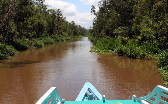 Tanjung Puting National Park river