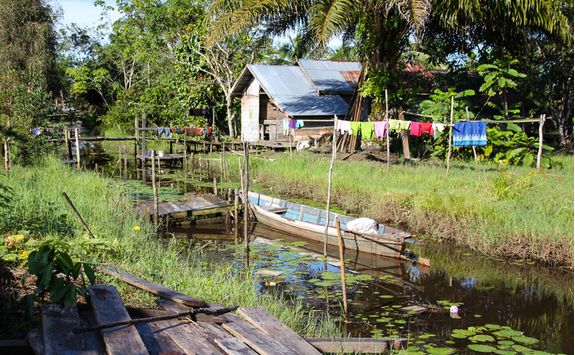 Houses in Tanjung Puting National Park, Kalimantan