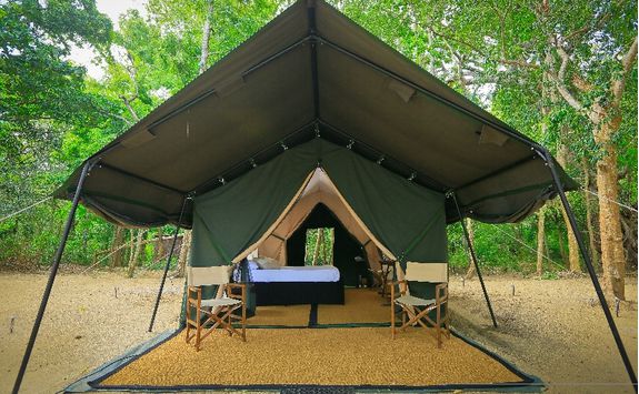 Leopard Trails Tent