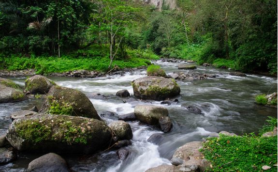 Ubud river rapids