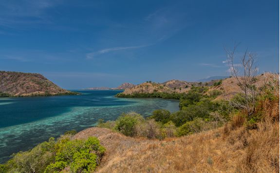 Flora on Komodo hike