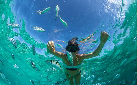 Snorkelling in Mauritius