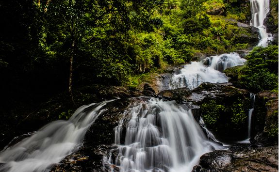 coorg stream