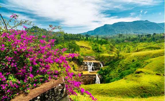 Waterfalls in the tea hills