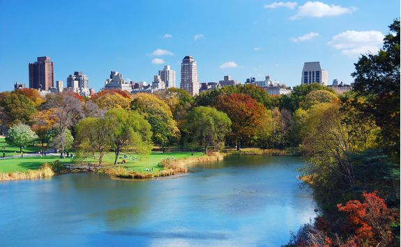 Central park in New York