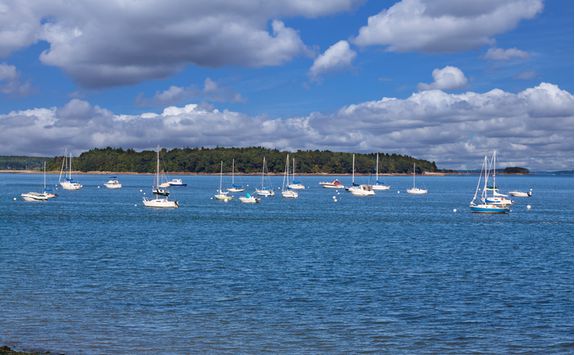 Sailing in the Portland harbour