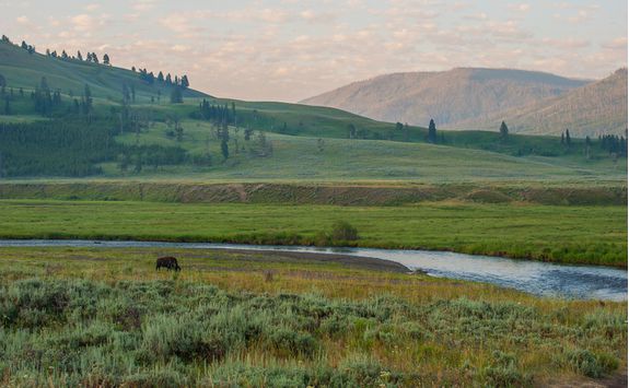 Lamar Valley