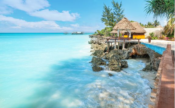 The tropical coast in Zanzibar