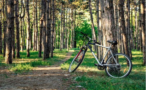 iStock_695239962_Day_12_Cycling_Oak_Bluff