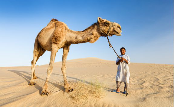 bedouin_boy_with_camel