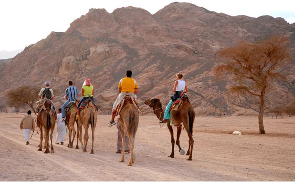 desert_exploration_with_camels