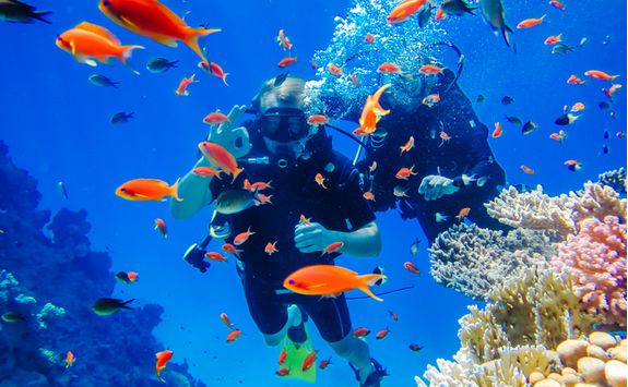 divers_and_fish