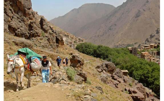 atlas adventure trek