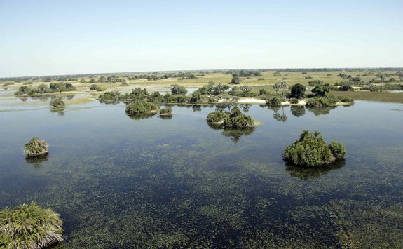 The Okavango Wetlands