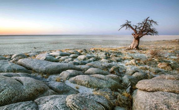 The Makgadikgadi Salt Pans