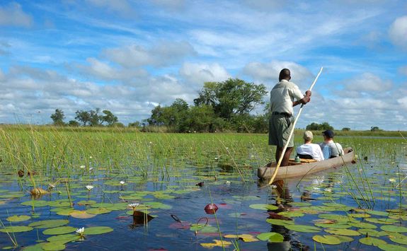 Mokoro canoe in the Okavango Delta