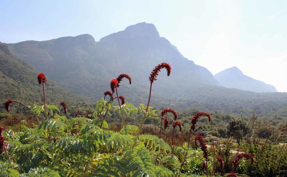 Botanical garden