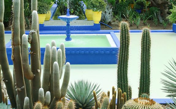 Marjorelle Garden, Marrakech