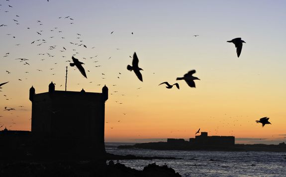 Sunrise in Essaouira