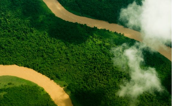 Borneo rainforest from above