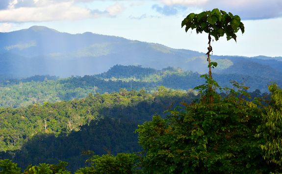 View of the Danum Valley