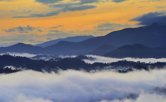 Sunrise over the Danum Valley