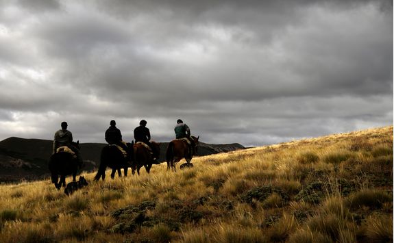 Horse trekking in the wilderness