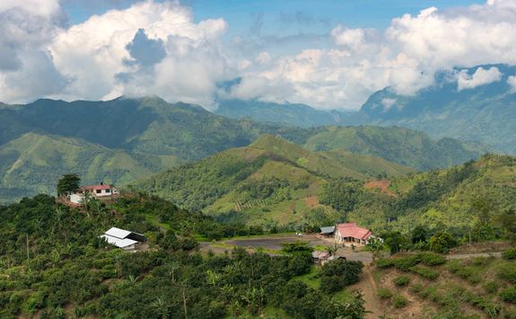 Colombian coffee farm